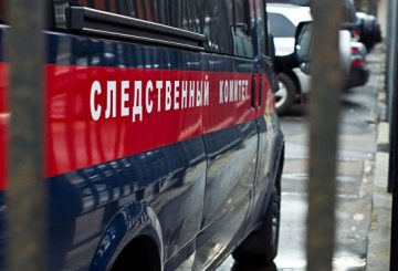 СК выяснит, изображала ли благовещенская школьница нацистское приветствие