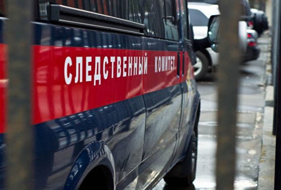 СК выяснит, изображала ли благовещенская школьница нацистское приветствие